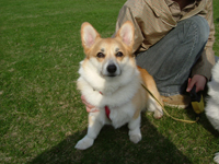 e0007313_19292818.jpg