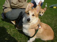 e0007313_19315349.jpg