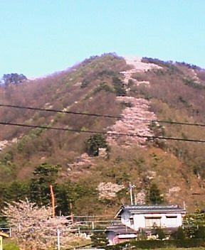 e0044421_2194271.jpg