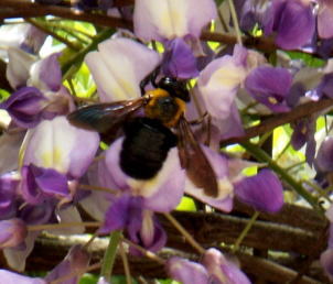 e0072023_2141288.jpg