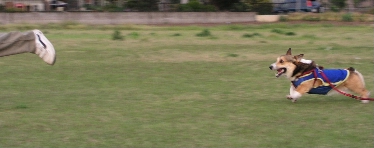 e0071225_1623175.jpg