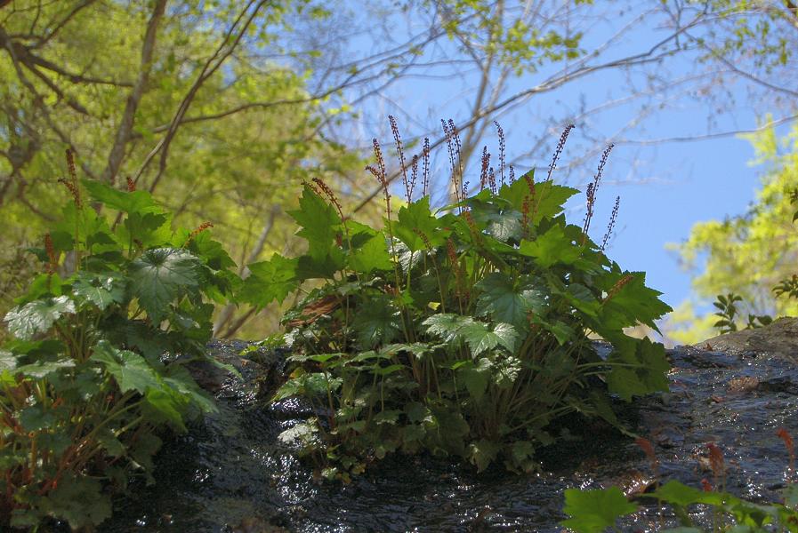 b0039226_21412023.jpg