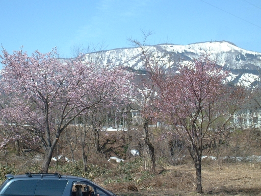 e0047026_20472023.jpg