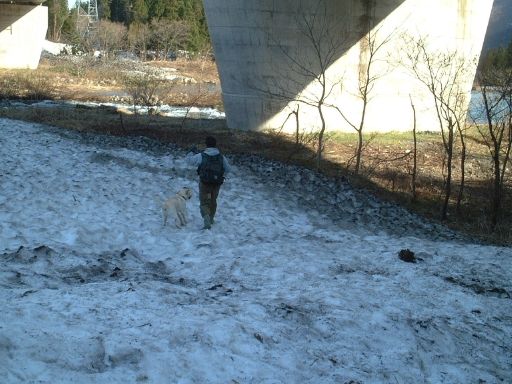e0047026_2047446.jpg