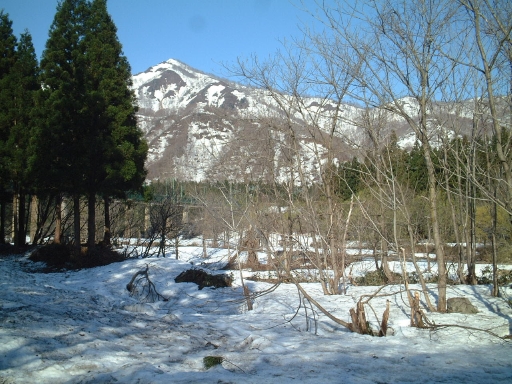 e0047026_2048736.jpg