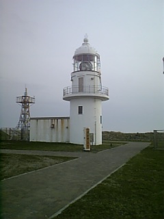 d0016728_232446.jpg