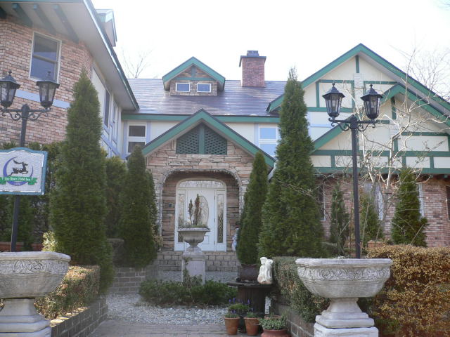 d0046031_1073074.jpg