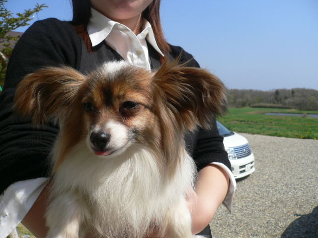 d0046031_21565659.jpg