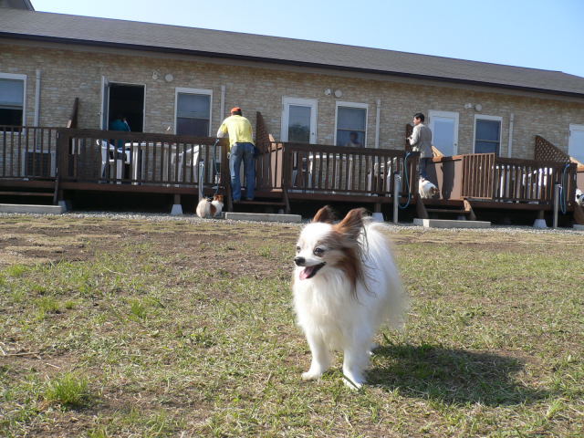 d0046031_2231317.jpg