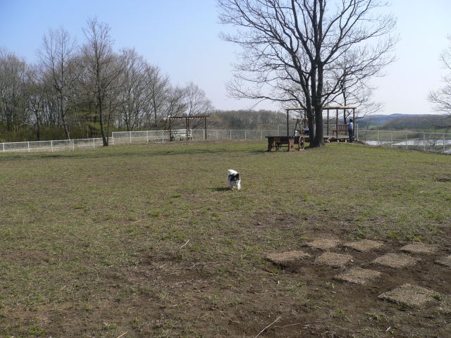 d0046031_2241459.jpg