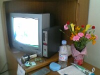 d0064931_1354298.jpg
