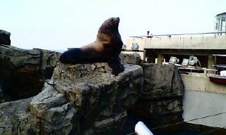 e0032033_1328732.jpg
