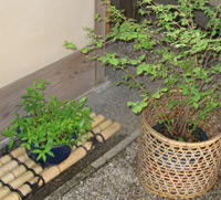d0033734_10462825.jpg