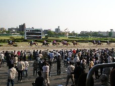 f0056435_0184557.jpg