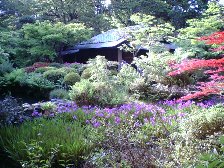 b0029438_0403098.jpg