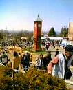 c0042941_9384391.jpg