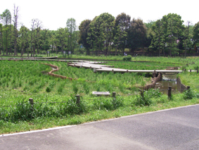 d0063149_21233916.jpg