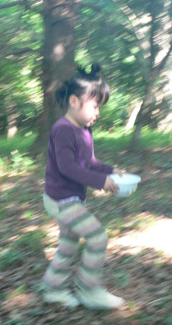 a0028350_33577.jpg