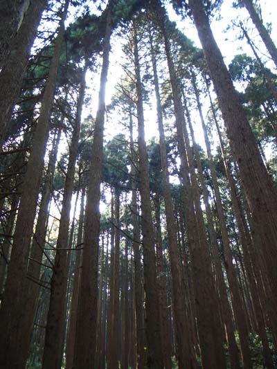 e0002850_11545652.jpg