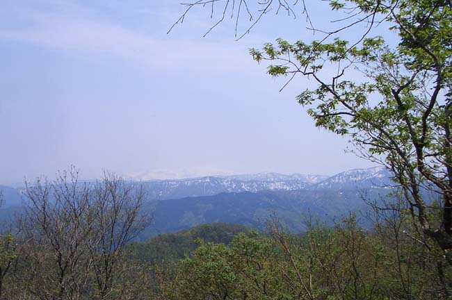 e0002850_11582219.jpg
