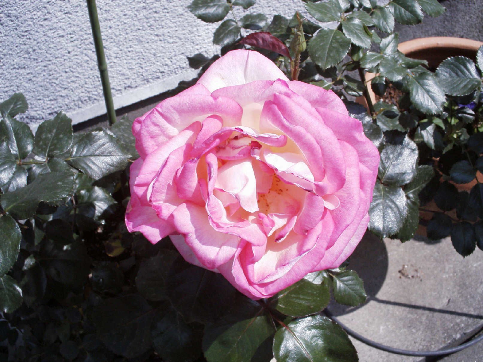 f0091250_17462245.jpg
