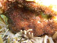 b0062363_1884883.jpg