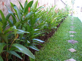 b0085766_2161869.jpg
