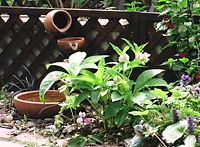 b0091866_22141732.jpg