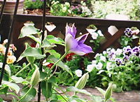 b0091866_2214267.jpg
