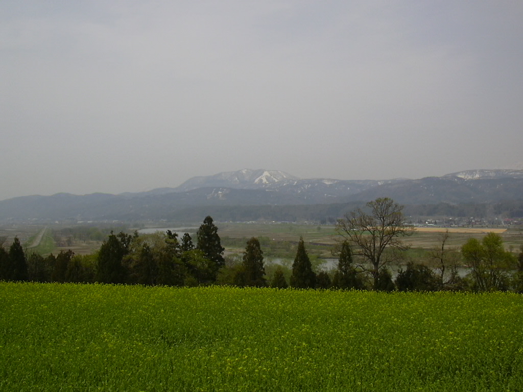 d0048366_10494098.jpg