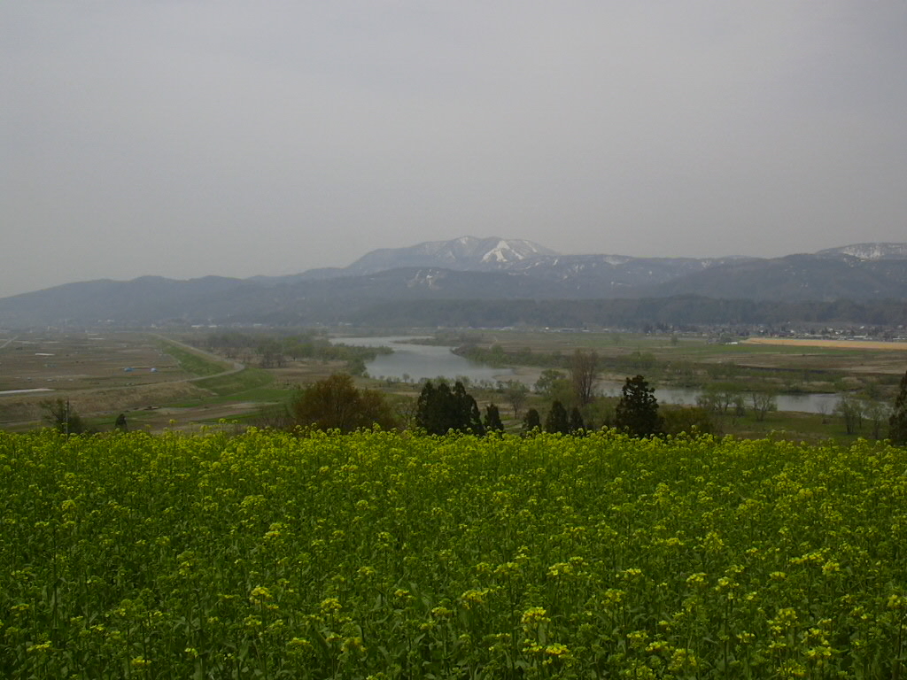 d0048366_10503933.jpg