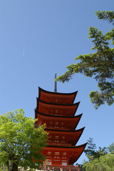 d0008269_19234746.jpg