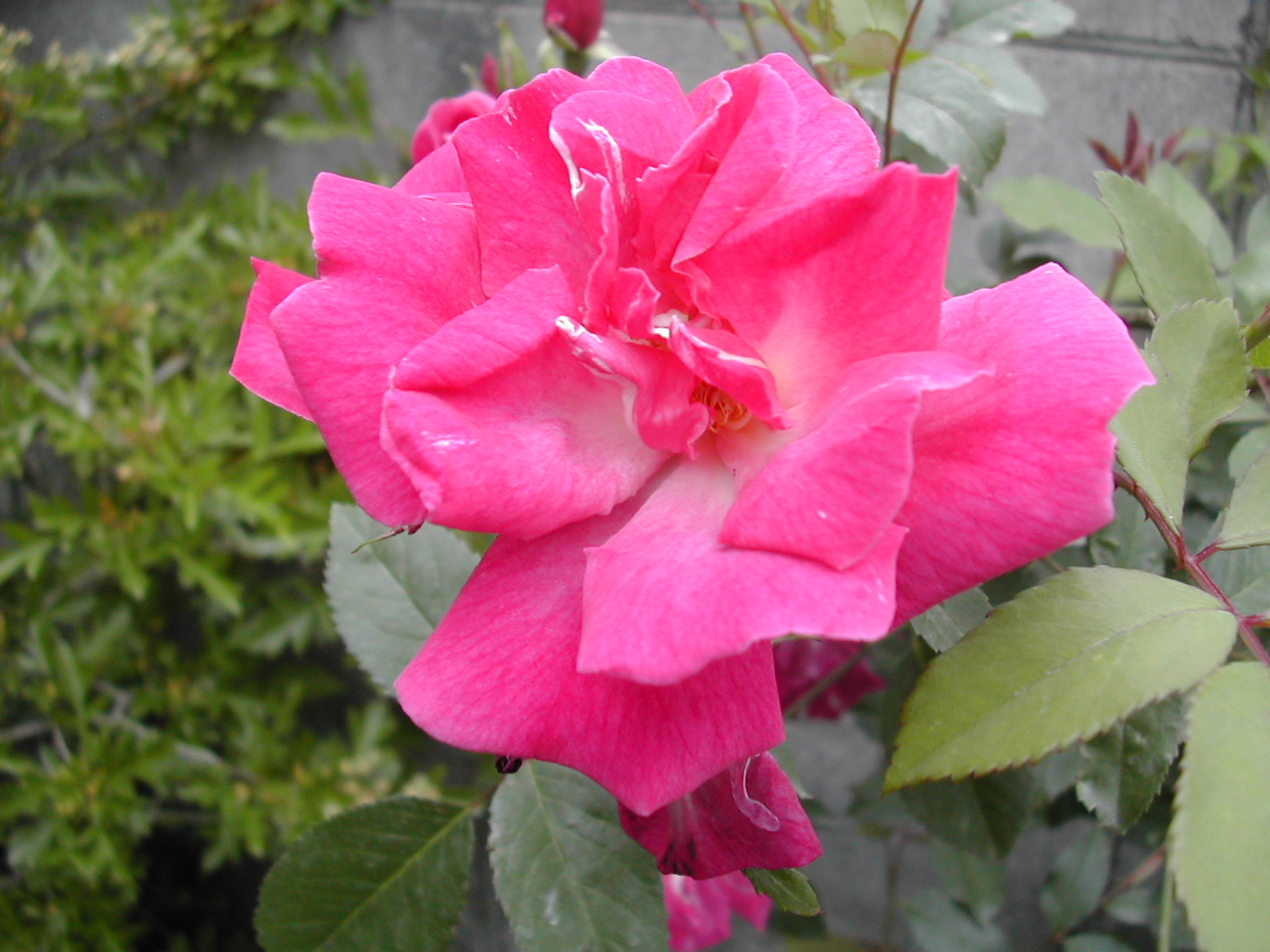b0032079_2283641.jpg