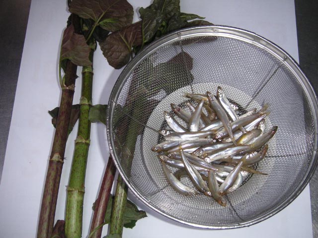 e0023183_23501247.jpg