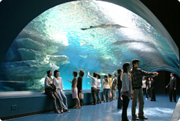 a0055387_21231455.jpg