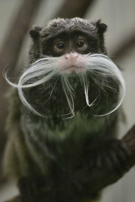 Nさま専用（原画）初秋の足音【A5サイズ／水彩画／#2585】 Nさま専用（原画）初秋の足音【A5サイズ／水彩画／#2585】