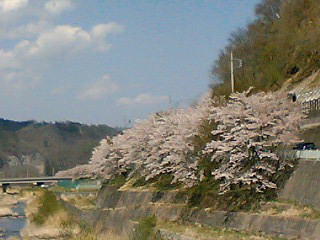 f0084795_2238841.jpg