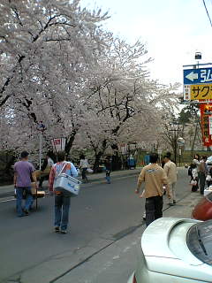 c0034396_2255462.jpg