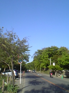 b0029700_1961737.jpg