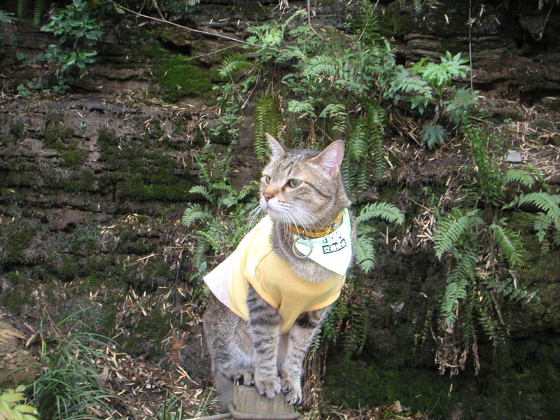 e0031605_8251231.jpg