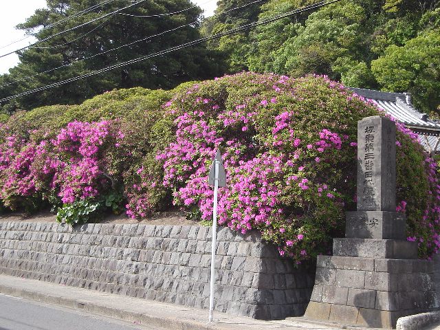 f0084806_16254145.jpg