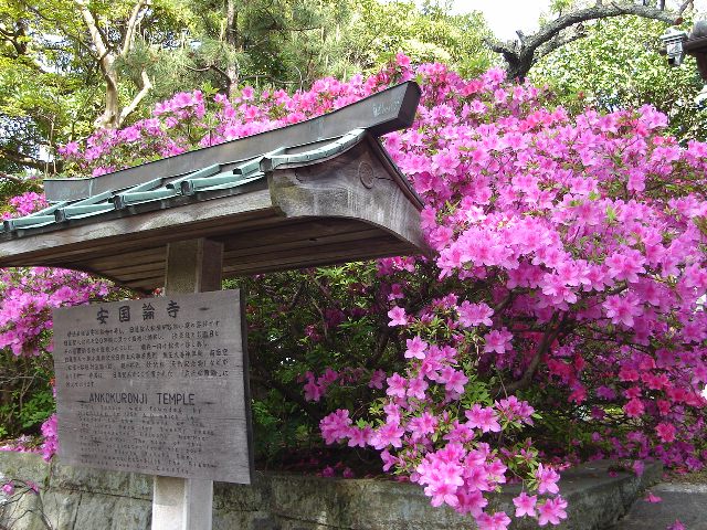 f0084806_17142415.jpg