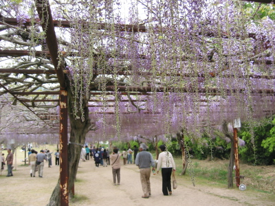 a0041508_1491639.jpg