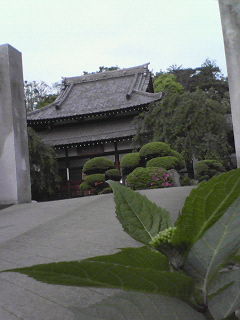 e0082110_13514870.jpg