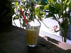 f0000211_2024558.jpg