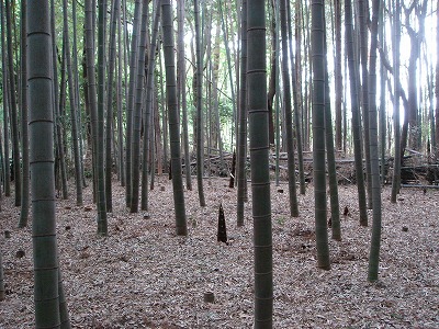 d0023323_281195.jpg