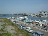 b0027524_1527375.jpg