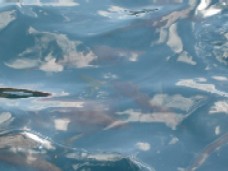 b0086427_14562975.jpg