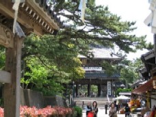 b0086427_1507100.jpg