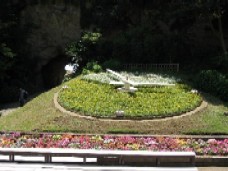 b0086427_1554472.jpg